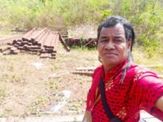 Simon Meminta Kepada Kadis kehutanan maluku dan Penegak Hukum Telusuri pengrusakan Hutan di Kecamatan Tanut Tanimbar