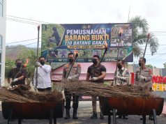Musnahkan Barang Bukti Ganja, Kapolres Aceh Selatan Tegaskan Komitmen Berantas Narkotika